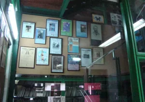 Foto de Biblioteca Pública Municipal de Carbayín