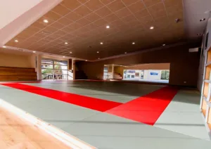 Foto del Gimnasio de Carbayín Bajo