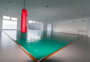 Foto del Polideportivo de La Fresneda