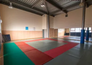 Foto del Polideportivo del Berrón